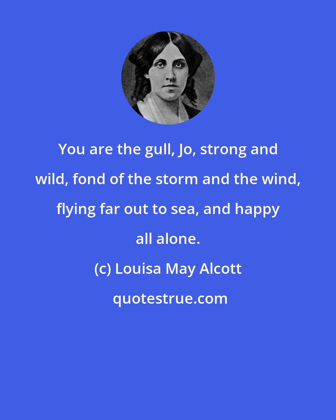 Louisa May Alcott: You are the gull, Jo, strong and wild, fond of the storm and the wind, flying far out to sea, and happy all alone.