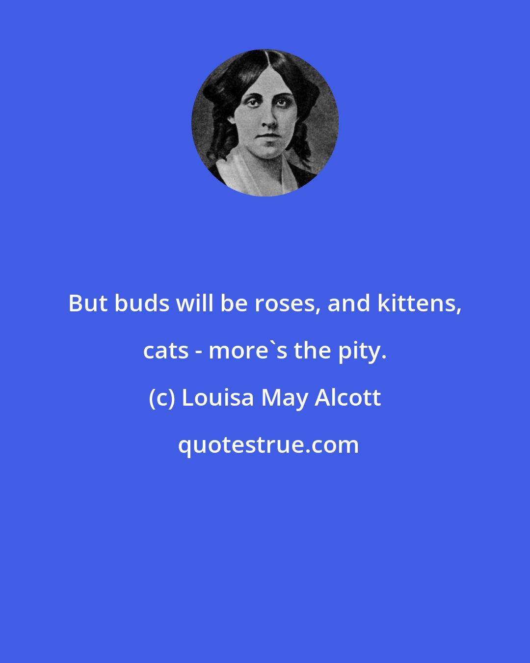 Louisa May Alcott: But buds will be roses, and kittens, cats - more's the pity.