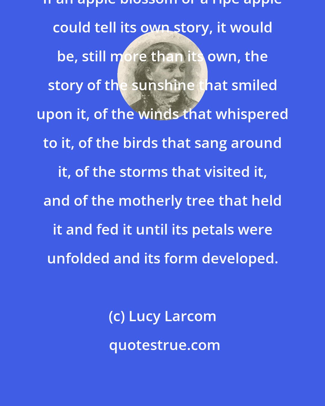 Lucy Larcom: If an apple blossom or a ripe apple could tell its own story, it would be, still more than its own, the story of the sunshine that smiled upon it, of the winds that whispered to it, of the birds that sang around it, of the storms that visited it, and of the motherly tree that held it and fed it until its petals were unfolded and its form developed.