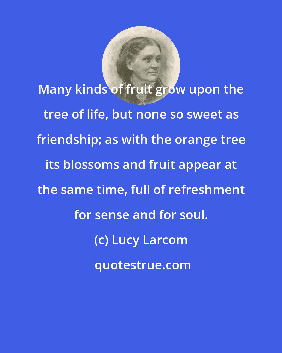 Lucy Larcom: Many kinds of fruit grow upon the tree of life, but none so sweet as friendship; as with the orange tree its blossoms and fruit appear at the same time, full of refreshment for sense and for soul.