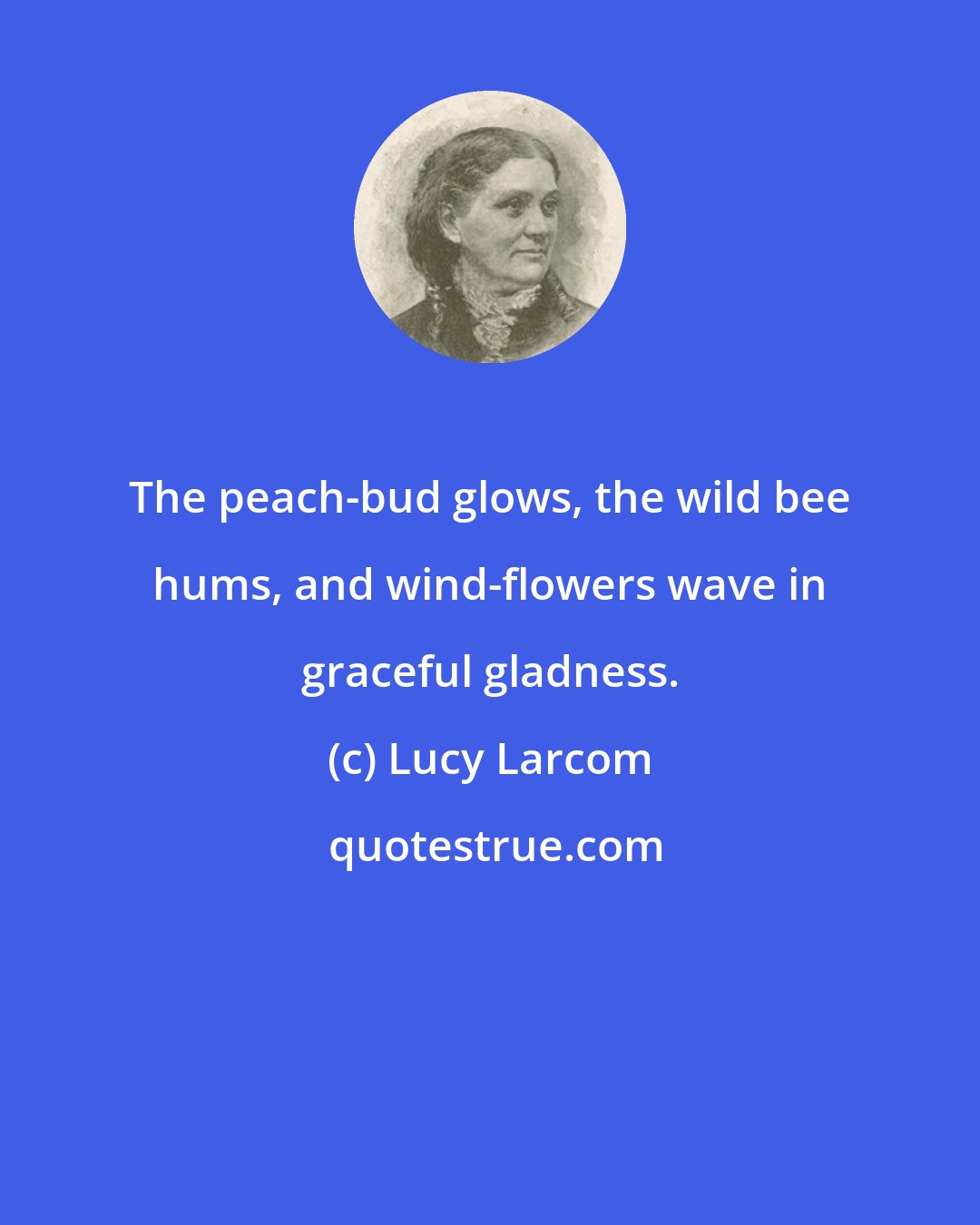 Lucy Larcom: The peach-bud glows, the wild bee hums, and wind-flowers wave in graceful gladness.