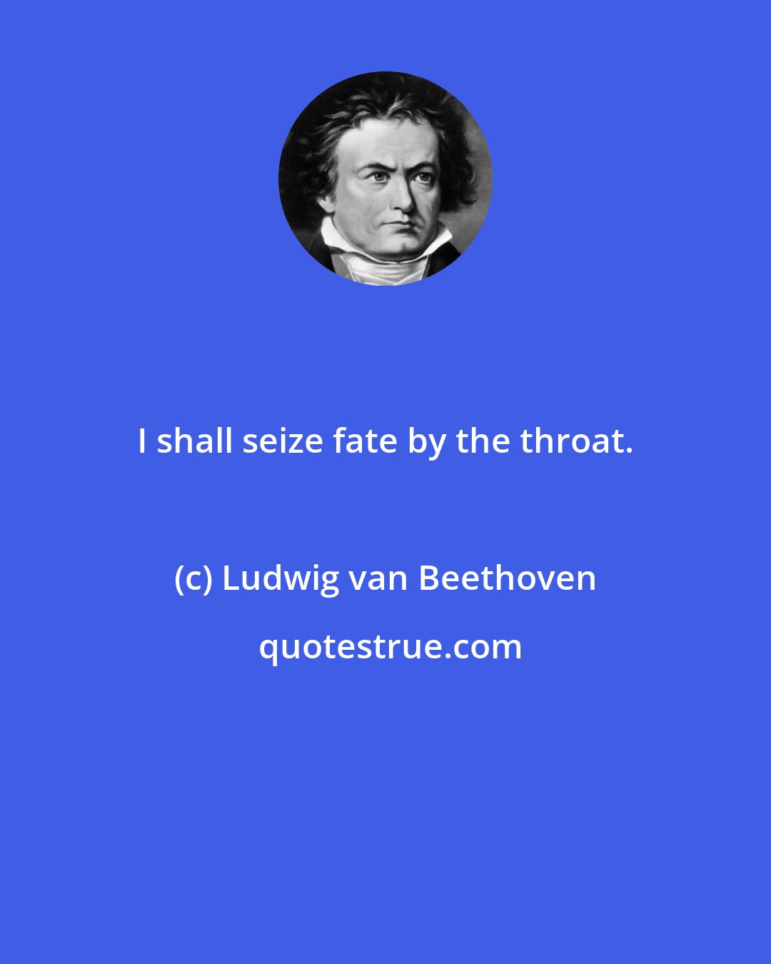 Ludwig van Beethoven: I shall seize fate by the throat.