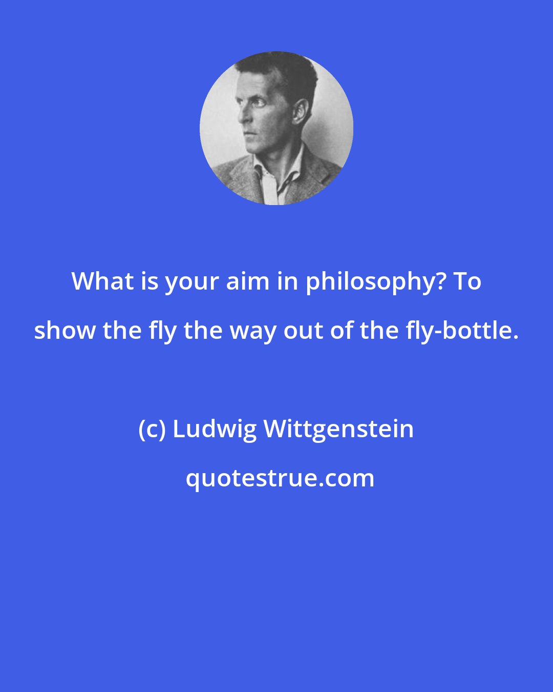 Ludwig Wittgenstein: What is your aim in philosophy? To show the fly the way out of the fly-bottle.