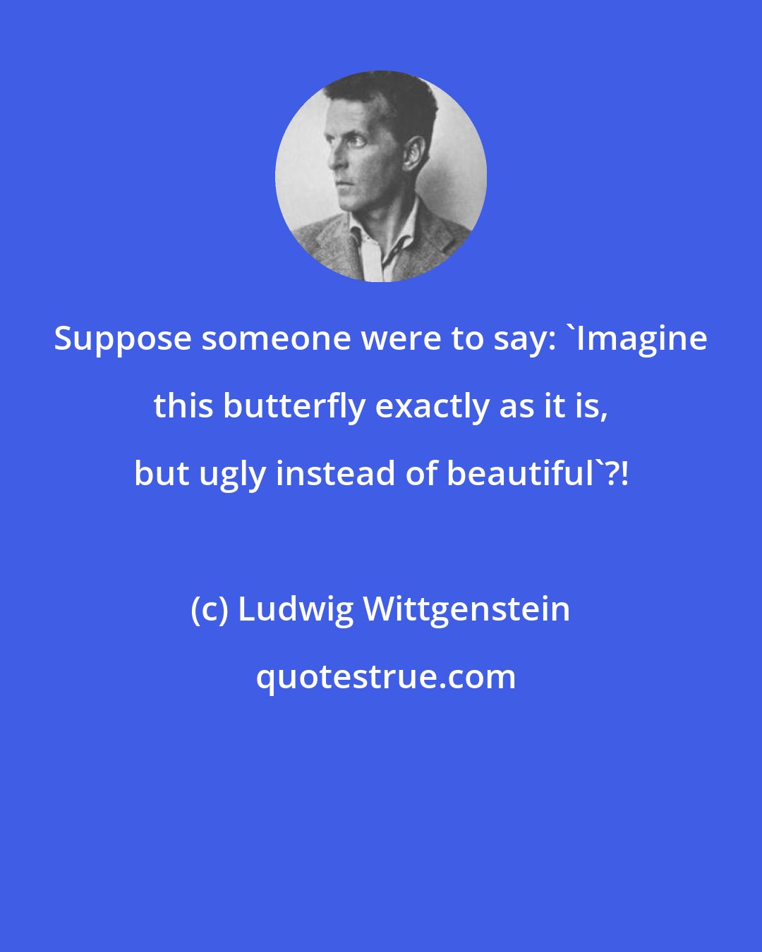 Ludwig Wittgenstein: Suppose someone were to say: 'Imagine this butterfly exactly as it is, but ugly instead of beautiful'?!