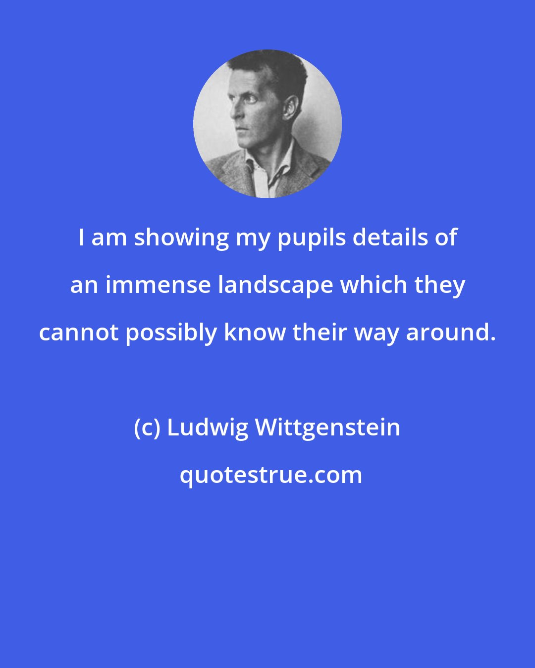 Ludwig Wittgenstein: I am showing my pupils details of an immense landscape which they cannot possibly know their way around.