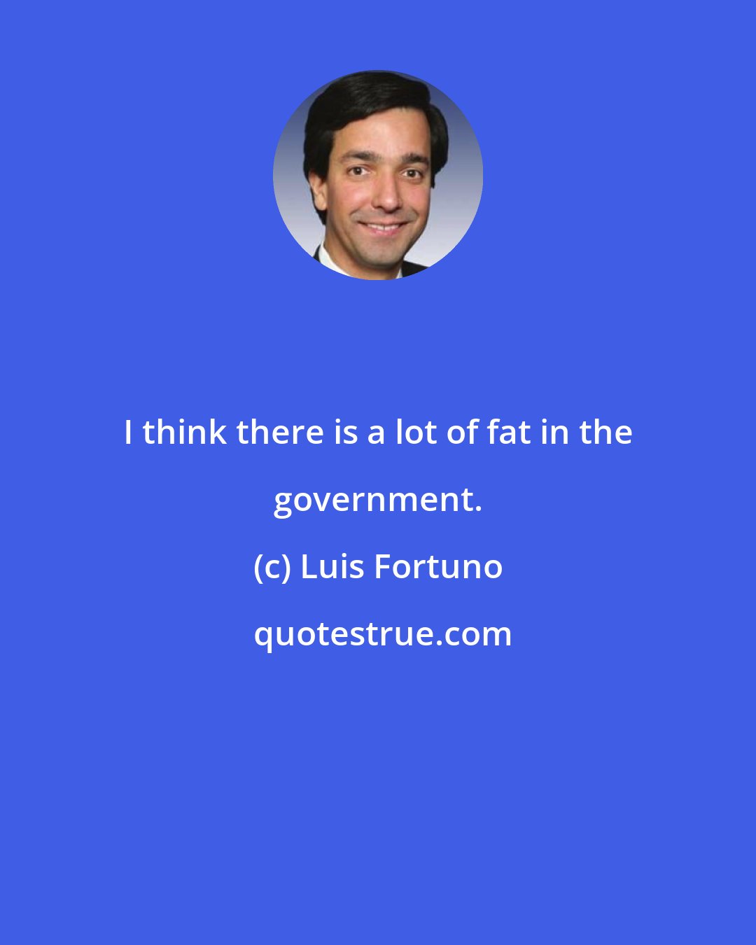 Luis Fortuno: I think there is a lot of fat in the government.