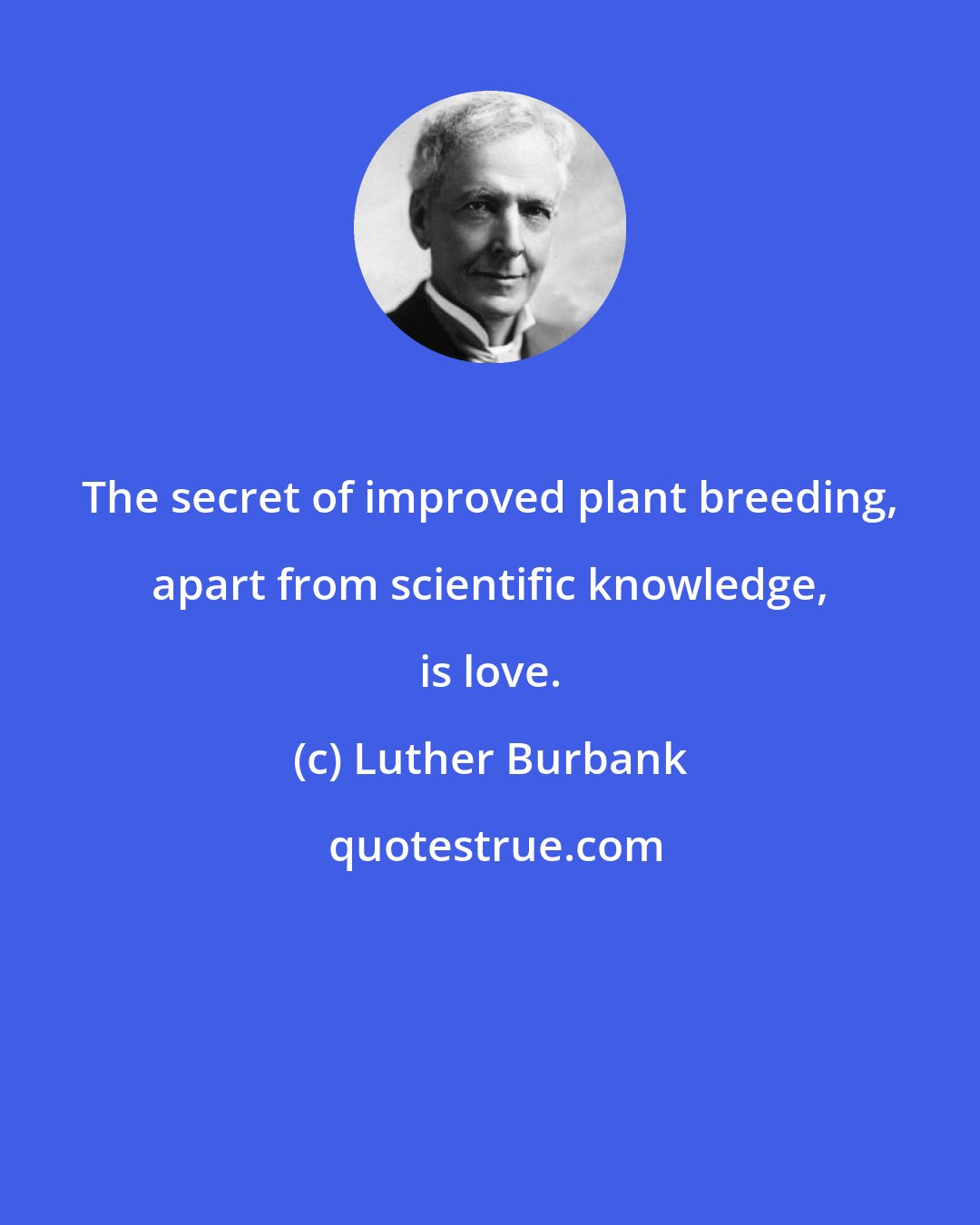 Luther Burbank: The secret of improved plant breeding, apart from scientific knowledge, is love.