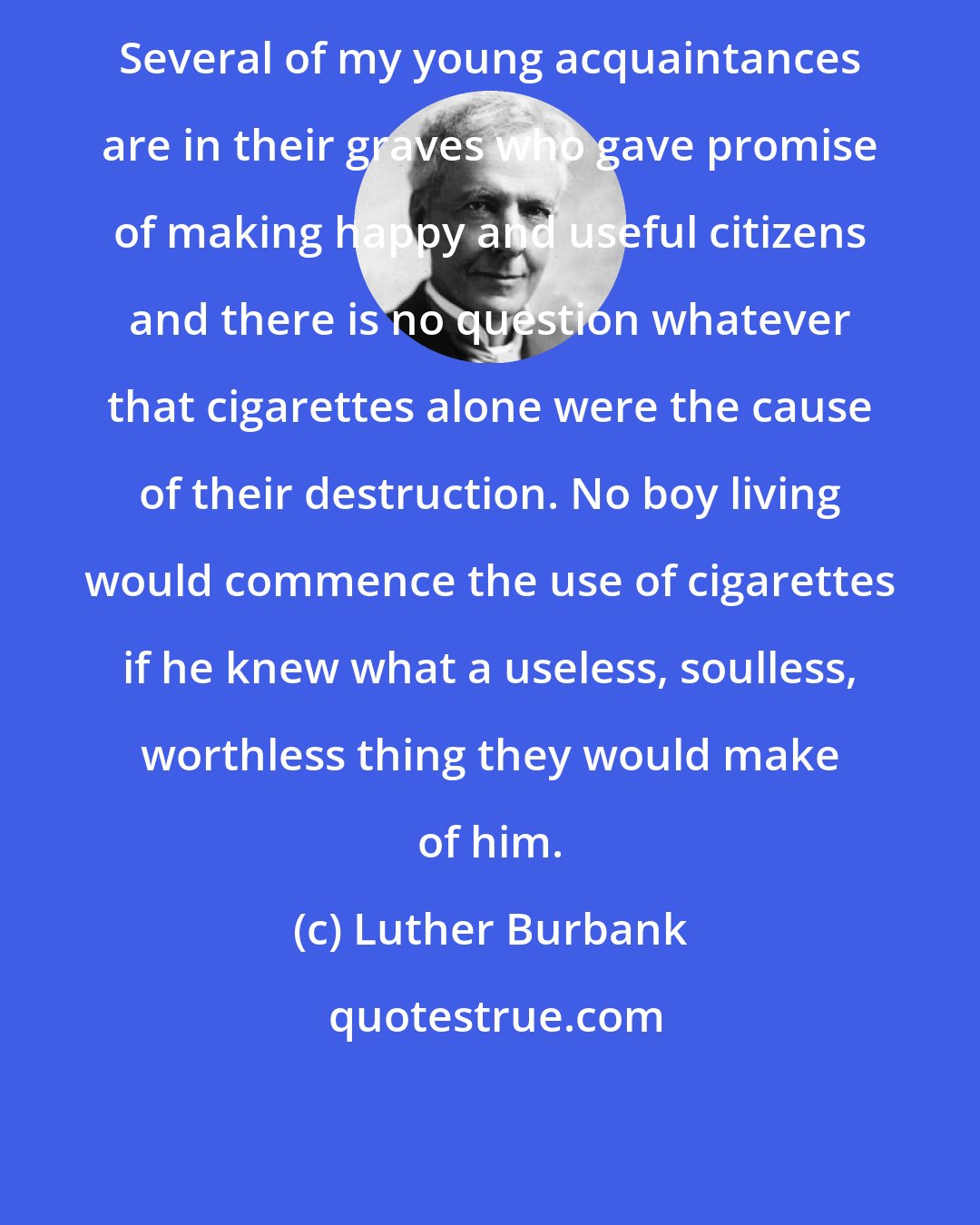 Luther Burbank: Several of my young acquaintances are in their graves who gave promise of making happy and useful citizens and there is no question whatever that cigarettes alone were the cause of their destruction. No boy living would commence the use of cigarettes if he knew what a useless, soulless, worthless thing they would make of him.