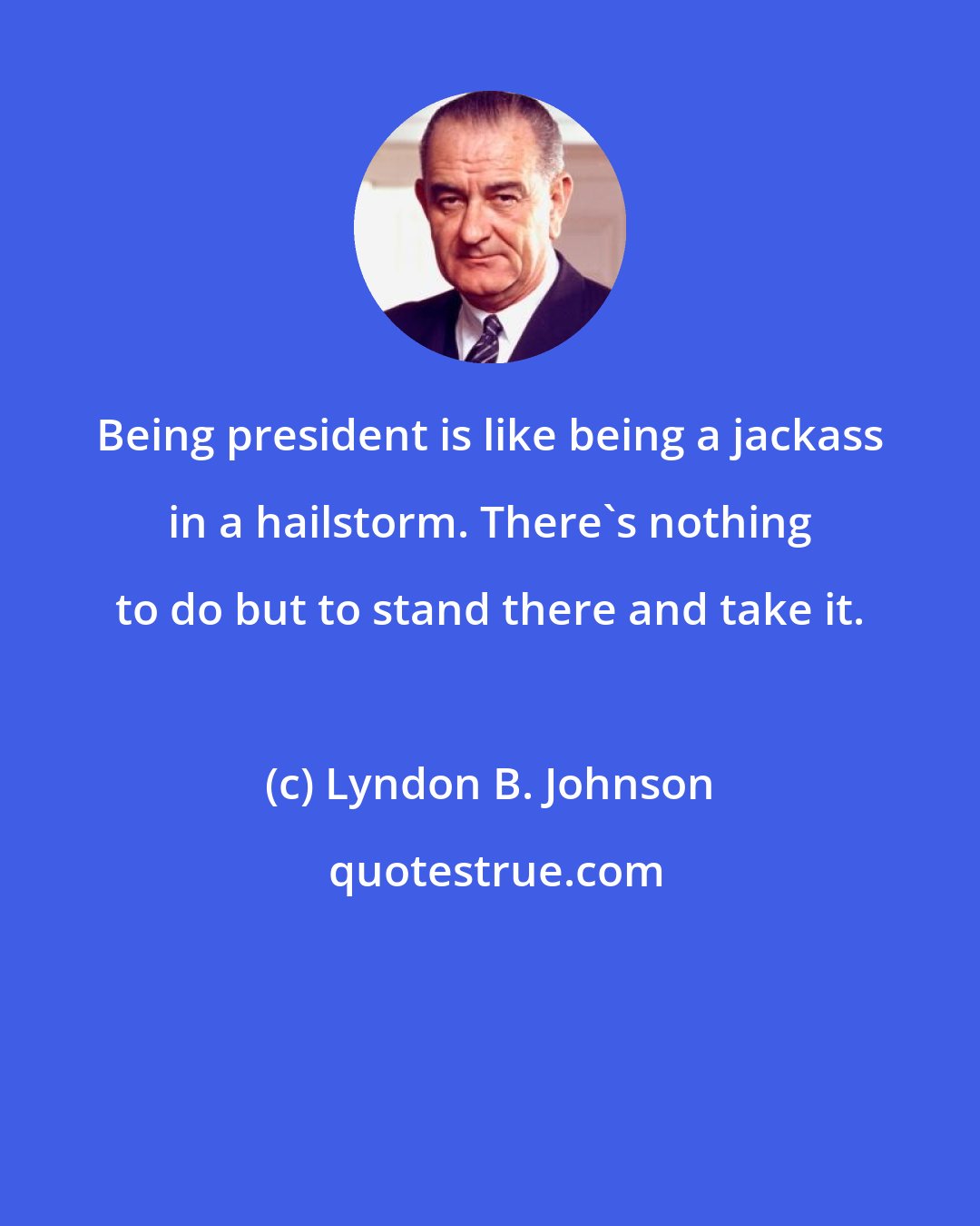 Lyndon B. Johnson: Being president is like being a jackass in a hailstorm. There's nothing to do but to stand there and take it.