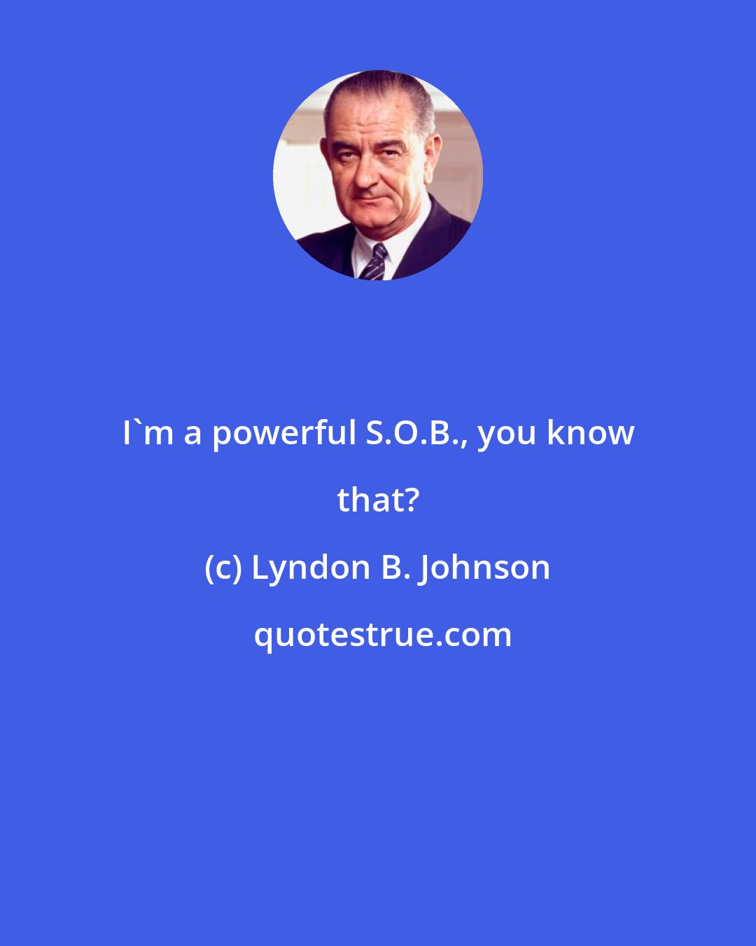 Lyndon B. Johnson: I'm a powerful S.O.B., you know that?