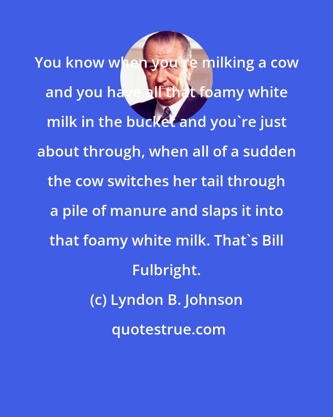 Lyndon B. Johnson: You know when you're milking a cow and you have all that foamy white milk in the bucket and you're just about through, when all of a sudden the cow switches her tail through a pile of manure and slaps it into that foamy white milk. That's Bill Fulbright.