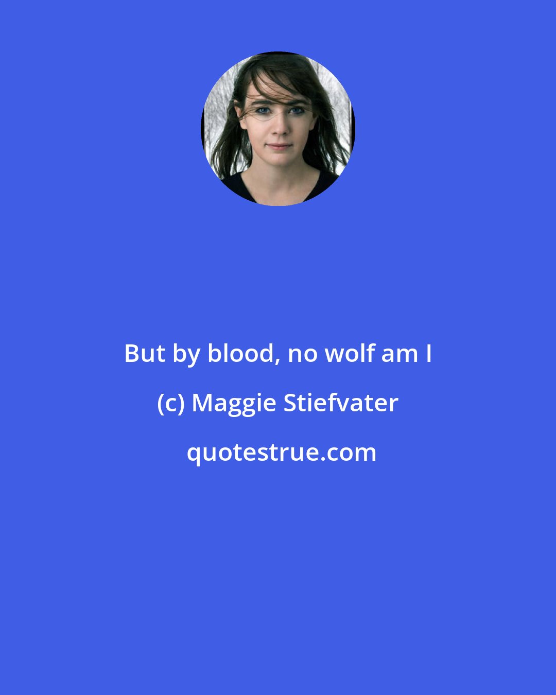 Maggie Stiefvater: But by blood, no wolf am I