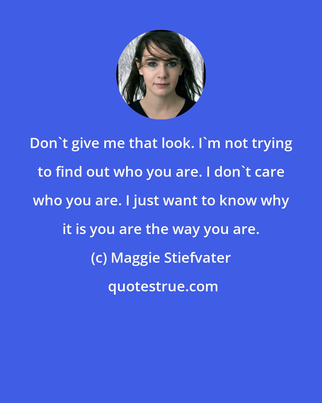 Maggie Stiefvater: Don't give me that look. I'm not trying to find out who you are. I don't care who you are. I just want to know why it is you are the way you are.