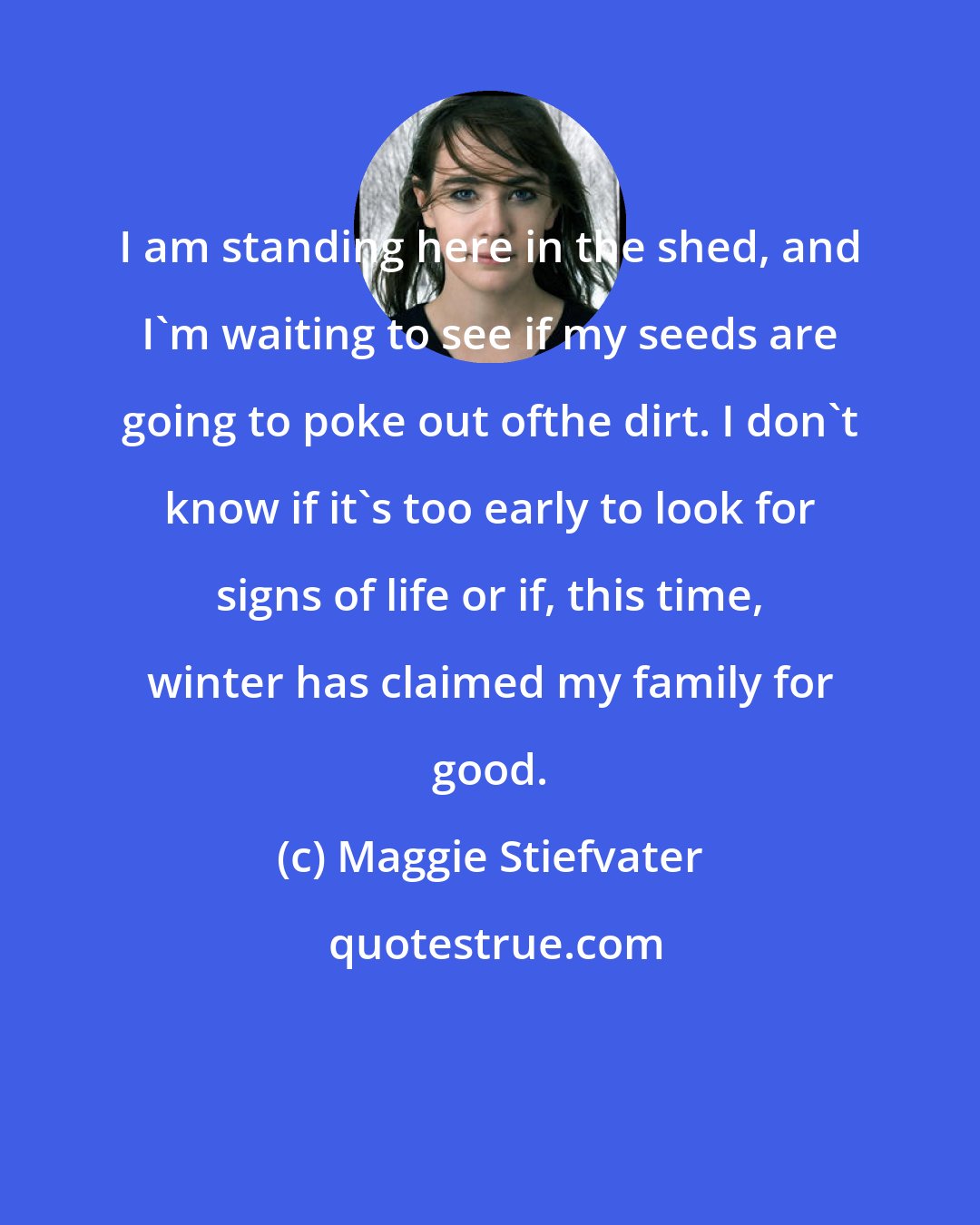 Maggie Stiefvater: I am standing here in the shed, and I'm waiting to see if my seeds are going to poke out ofthe dirt. I don't know if it's too early to look for signs of life or if, this time, winter has claimed my family for good.