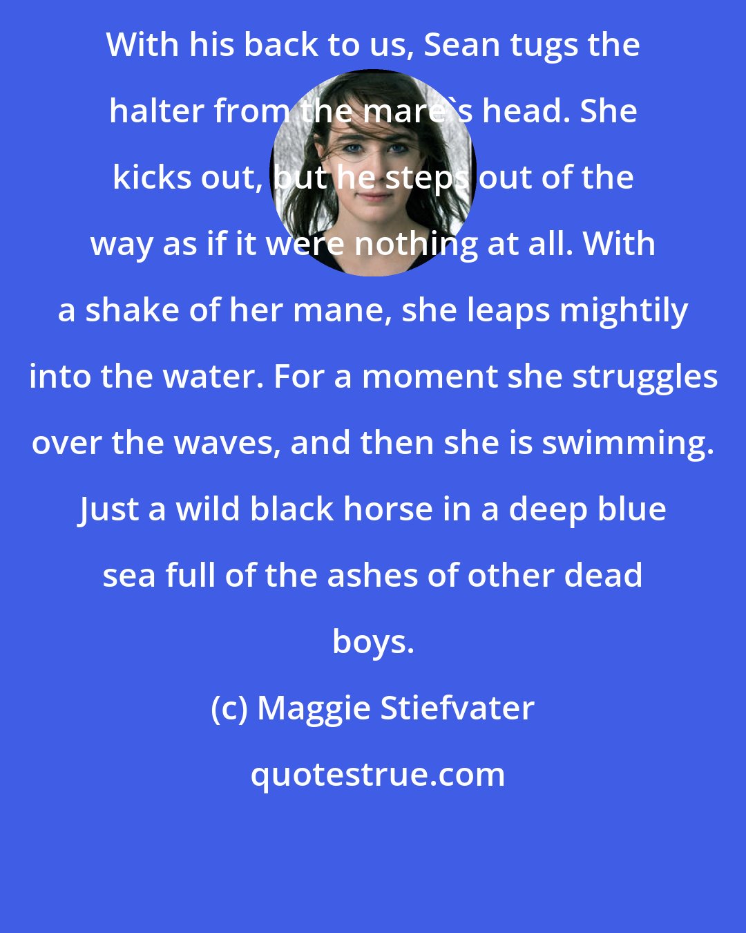 Maggie Stiefvater: With his back to us, Sean tugs the halter from the mare's head. She kicks out, but he steps out of the way as if it were nothing at all. With a shake of her mane, she leaps mightily into the water. For a moment she struggles over the waves, and then she is swimming. Just a wild black horse in a deep blue sea full of the ashes of other dead boys.