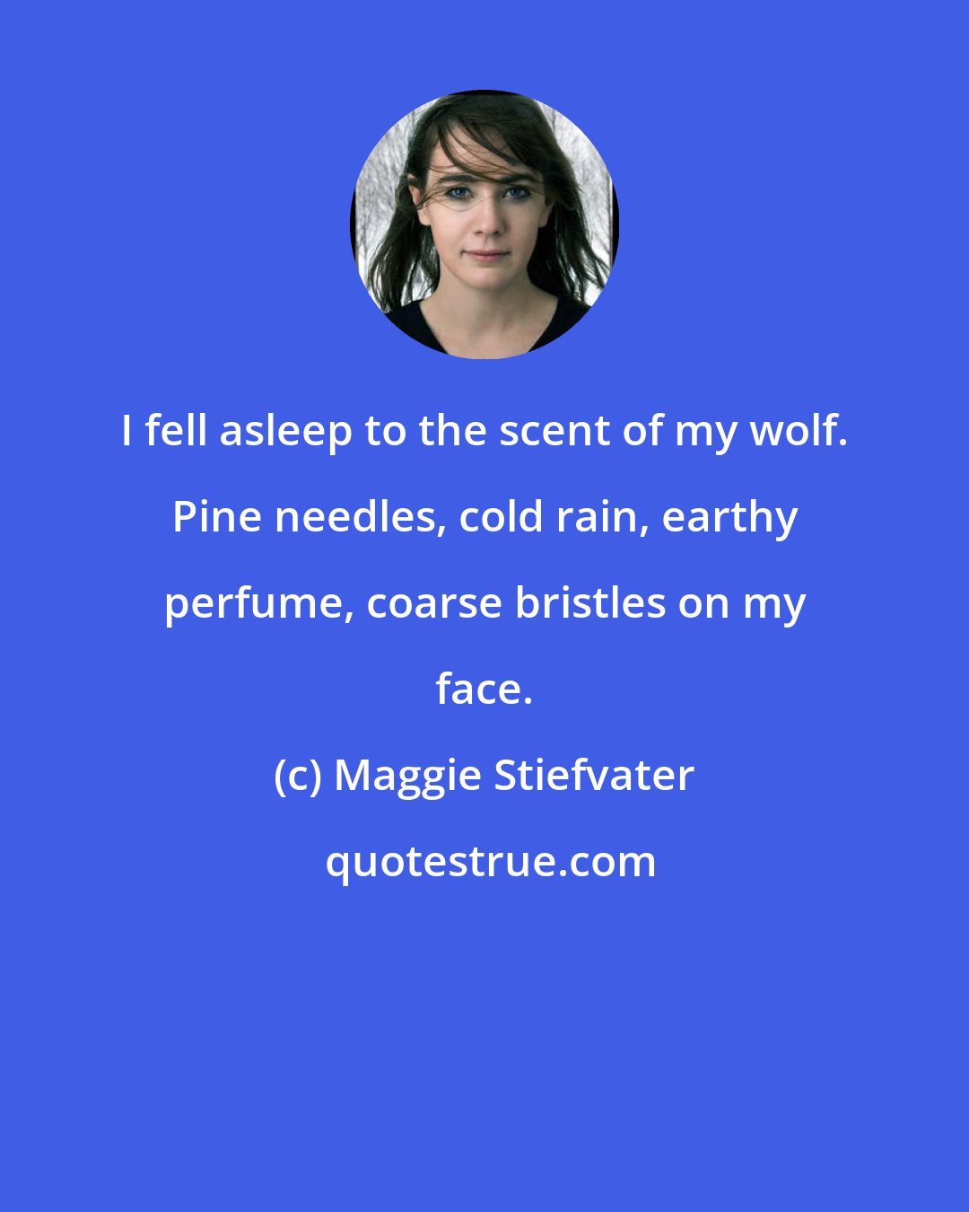 Maggie Stiefvater: I fell asleep to the scent of my wolf. Pine needles, cold rain, earthy perfume, coarse bristles on my face.