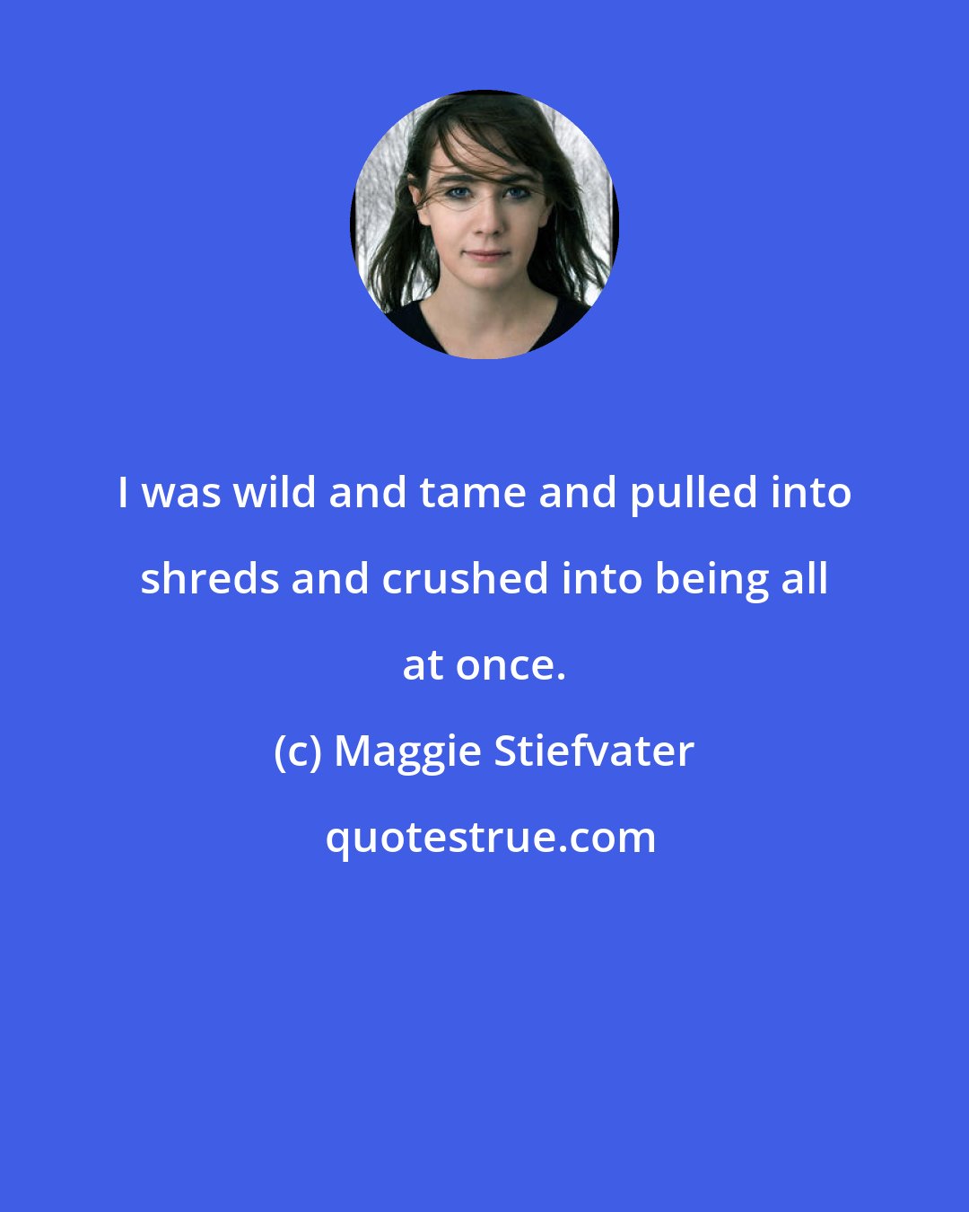 Maggie Stiefvater: I was wild and tame and pulled into shreds and crushed into being all at once.