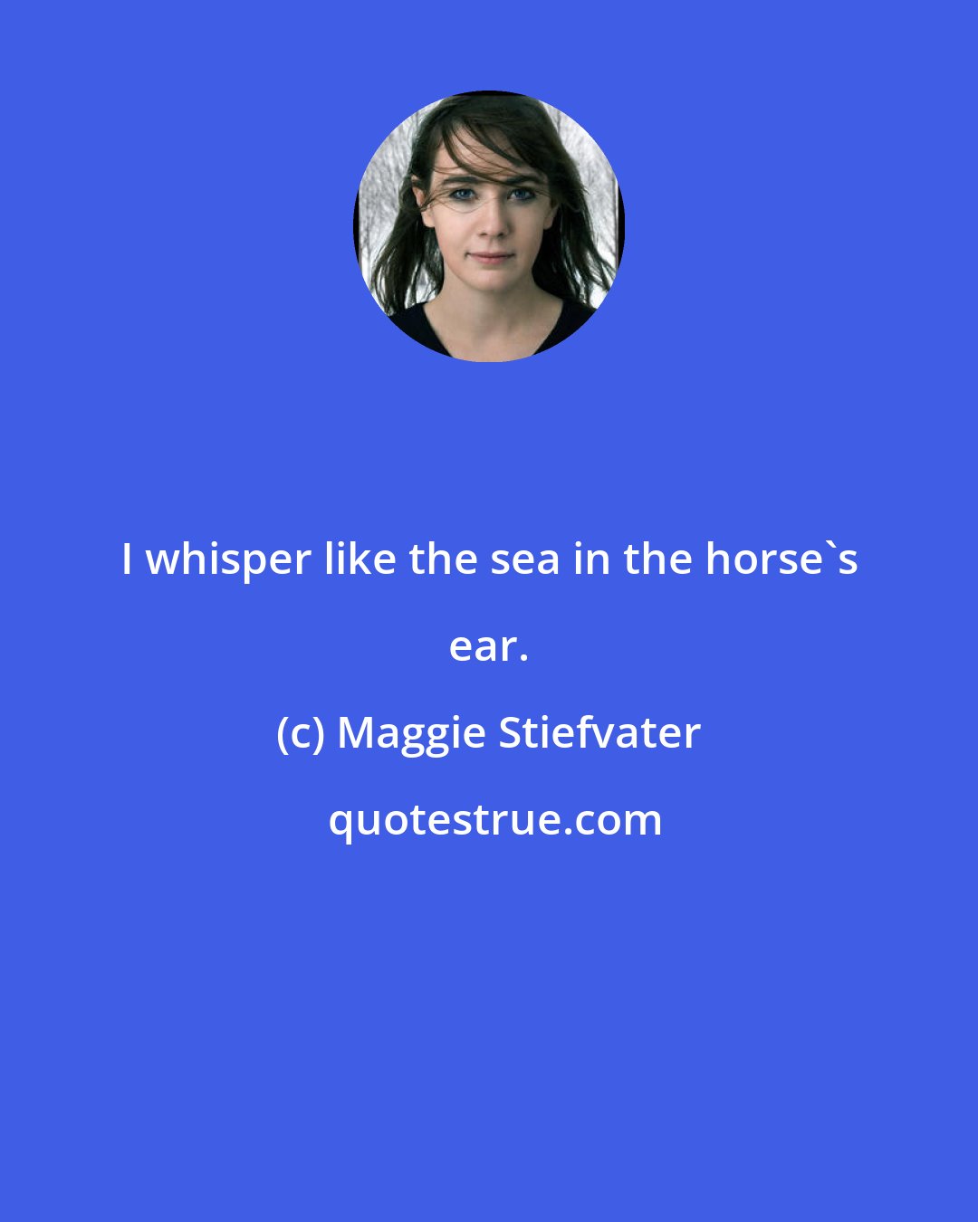 Maggie Stiefvater: I whisper like the sea in the horse's ear.