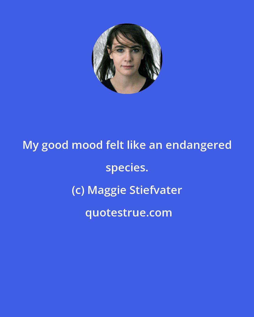 Maggie Stiefvater: My good mood felt like an endangered species.