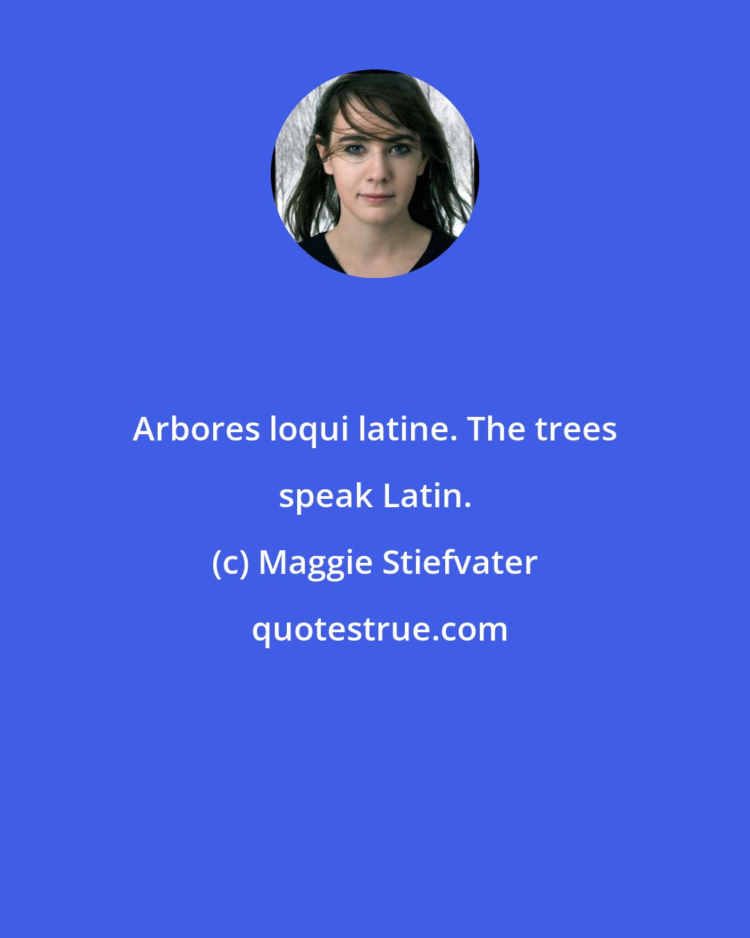 Maggie Stiefvater: Arbores loqui latine. The trees speak Latin.