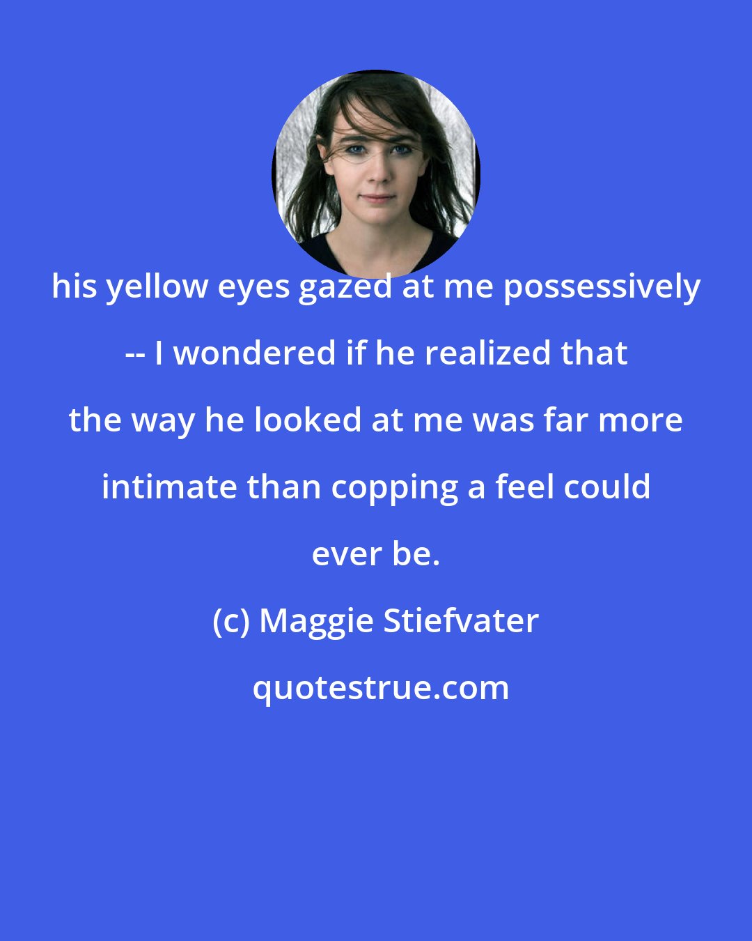 Maggie Stiefvater: his yellow eyes gazed at me possessively -- I wondered if he realized that the way he looked at me was far more intimate than copping a feel could ever be.