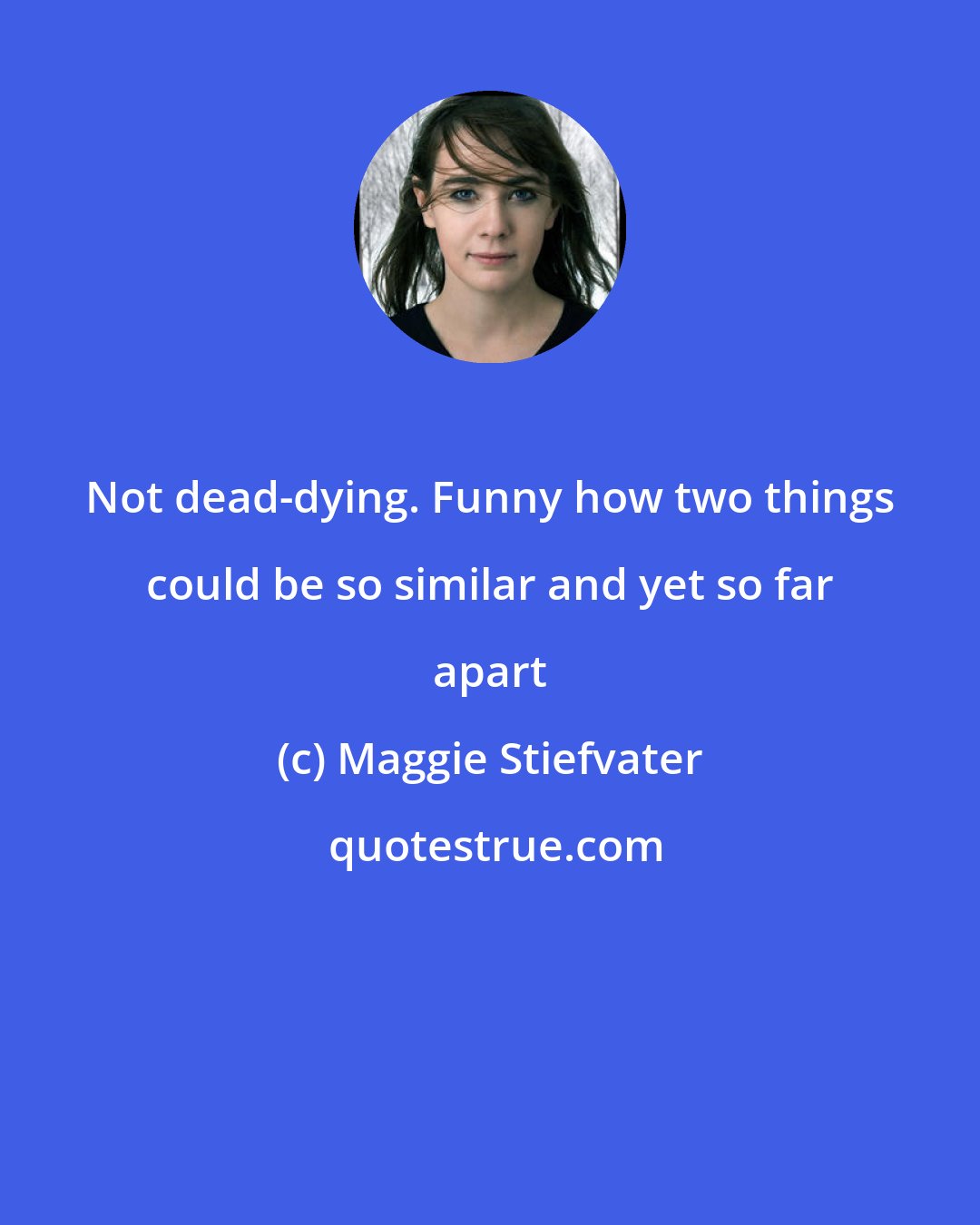 Maggie Stiefvater: Not dead-dying. Funny how two things could be so similar and yet so far apart
