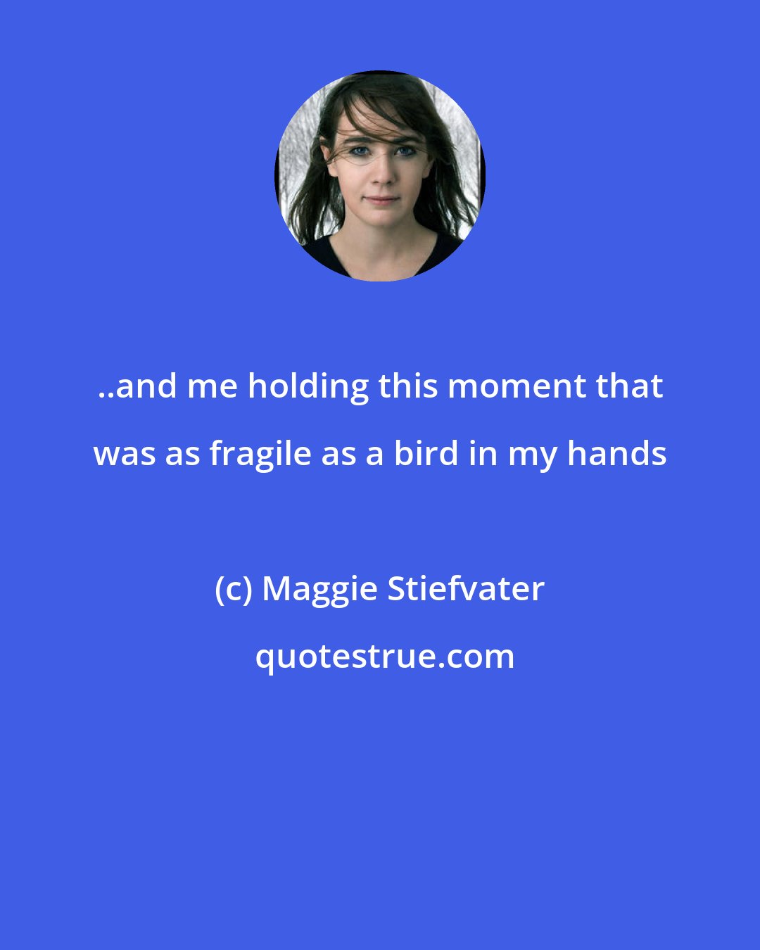 Maggie Stiefvater: ..and me holding this moment that was as fragile as a bird in my hands