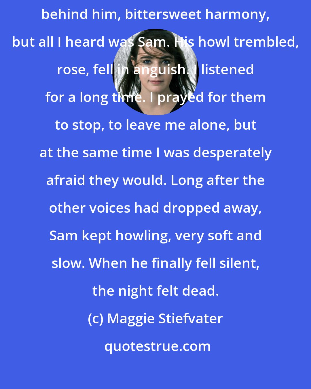 Maggie Stiefvater: It tore my heart out, because I heard his voice. The wolves sang slowly behind him, bittersweet harmony, but all I heard was Sam. His howl trembled, rose, fell in anguish. I listened for a long time. I prayed for them to stop, to leave me alone, but at the same time I was desperately afraid they would. Long after the other voices had dropped away, Sam kept howling, very soft and slow. When he finally fell silent, the night felt dead.