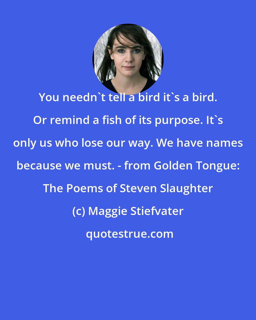 Maggie Stiefvater: You needn't tell a bird it's a bird. Or remind a fish of its purpose. It's only us who lose our way. We have names because we must. - from Golden Tongue: The Poems of Steven Slaughter