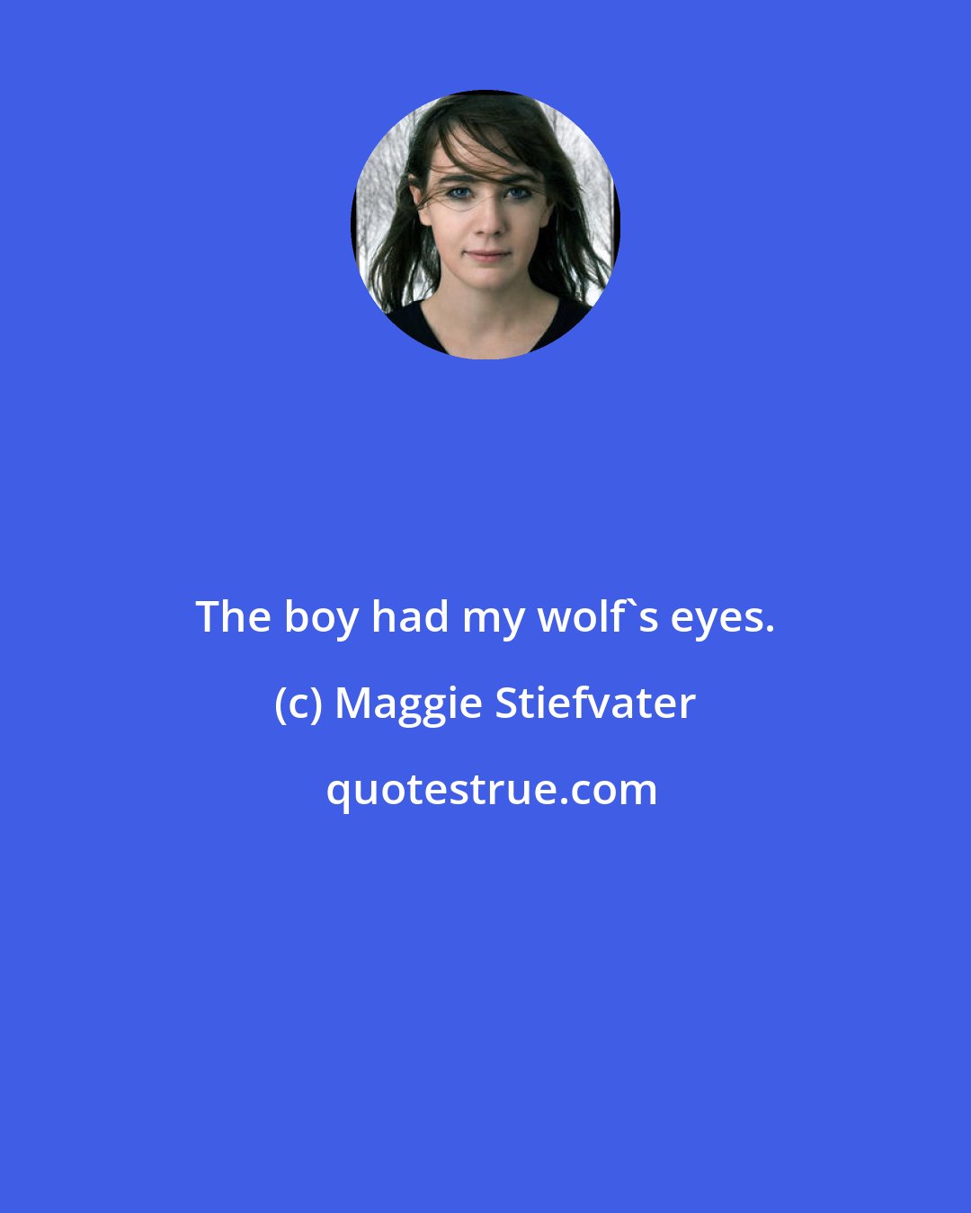 Maggie Stiefvater: The boy had my wolf's eyes.