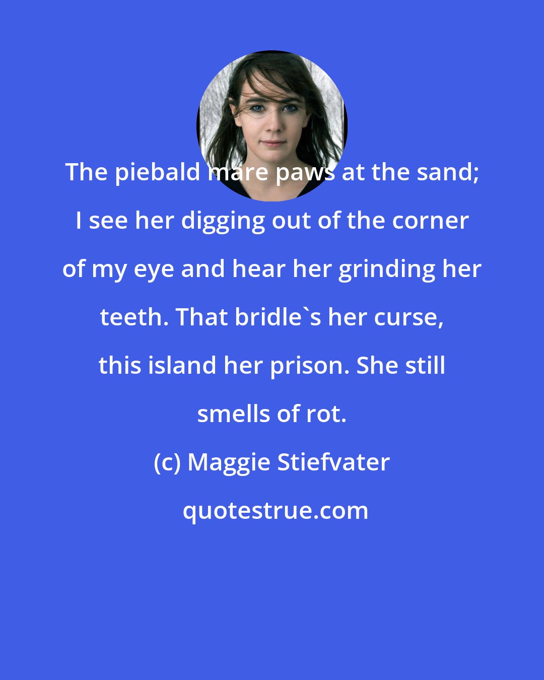 Maggie Stiefvater: The piebald mare paws at the sand; I see her digging out of the corner of my eye and hear her grinding her teeth. That bridle's her curse, this island her prison. She still smells of rot.