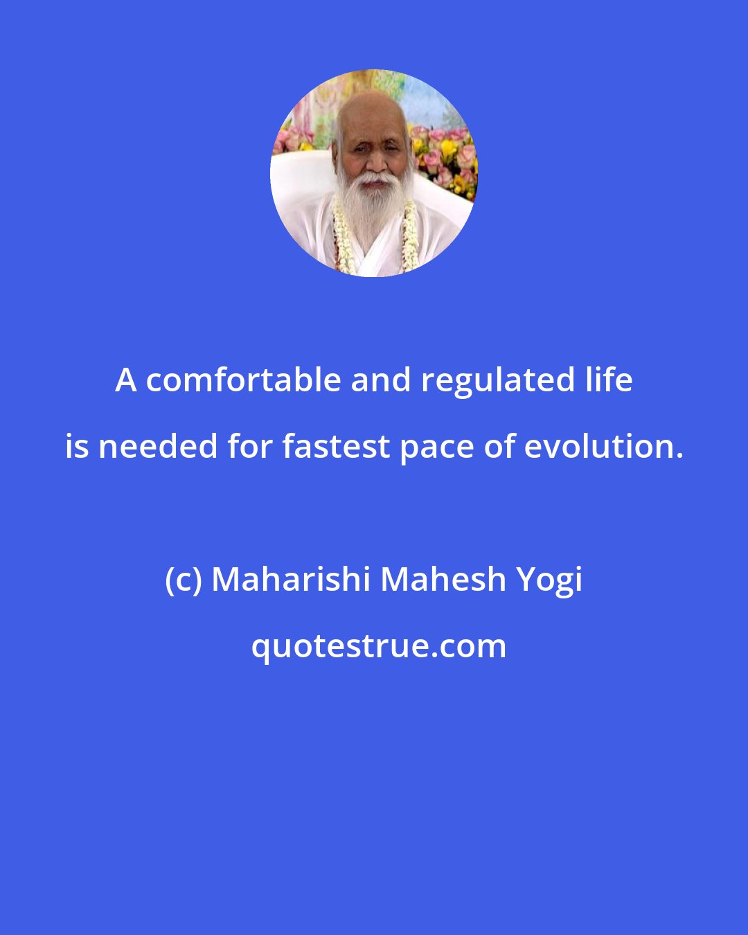 Maharishi Mahesh Yogi: A comfortable and regulated life is needed for fastest pace of evolution.