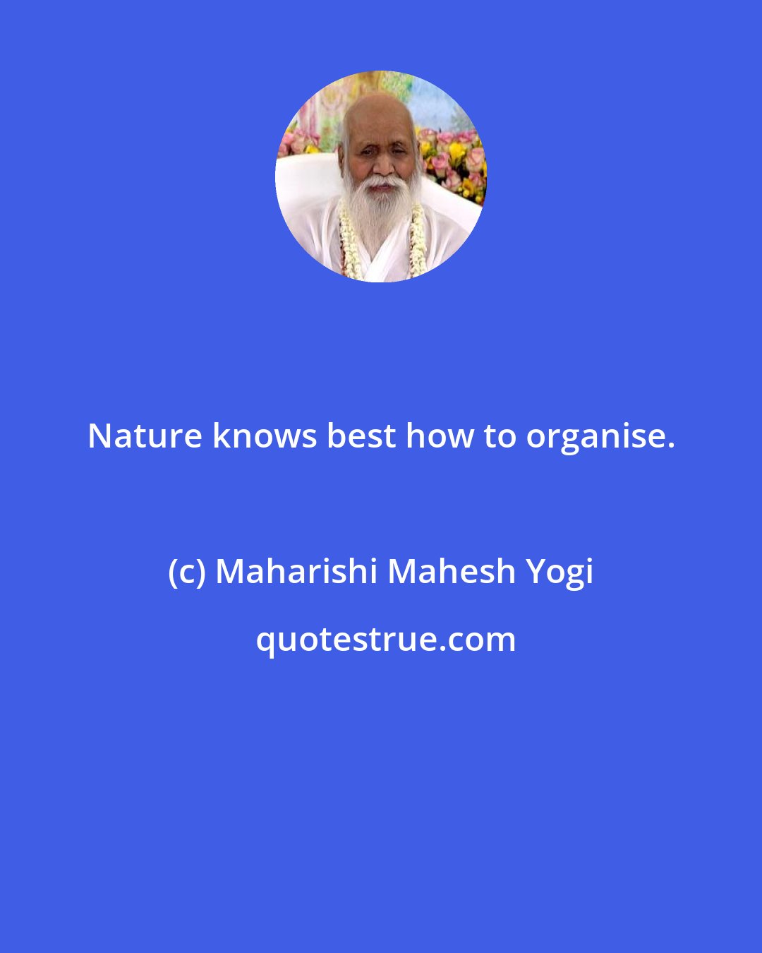 Maharishi Mahesh Yogi: Nature knows best how to organise.