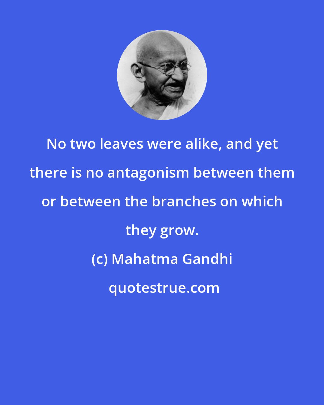 Mahatma Gandhi: No two leaves were alike, and yet there is no antagonism between them or between the branches on which they grow.