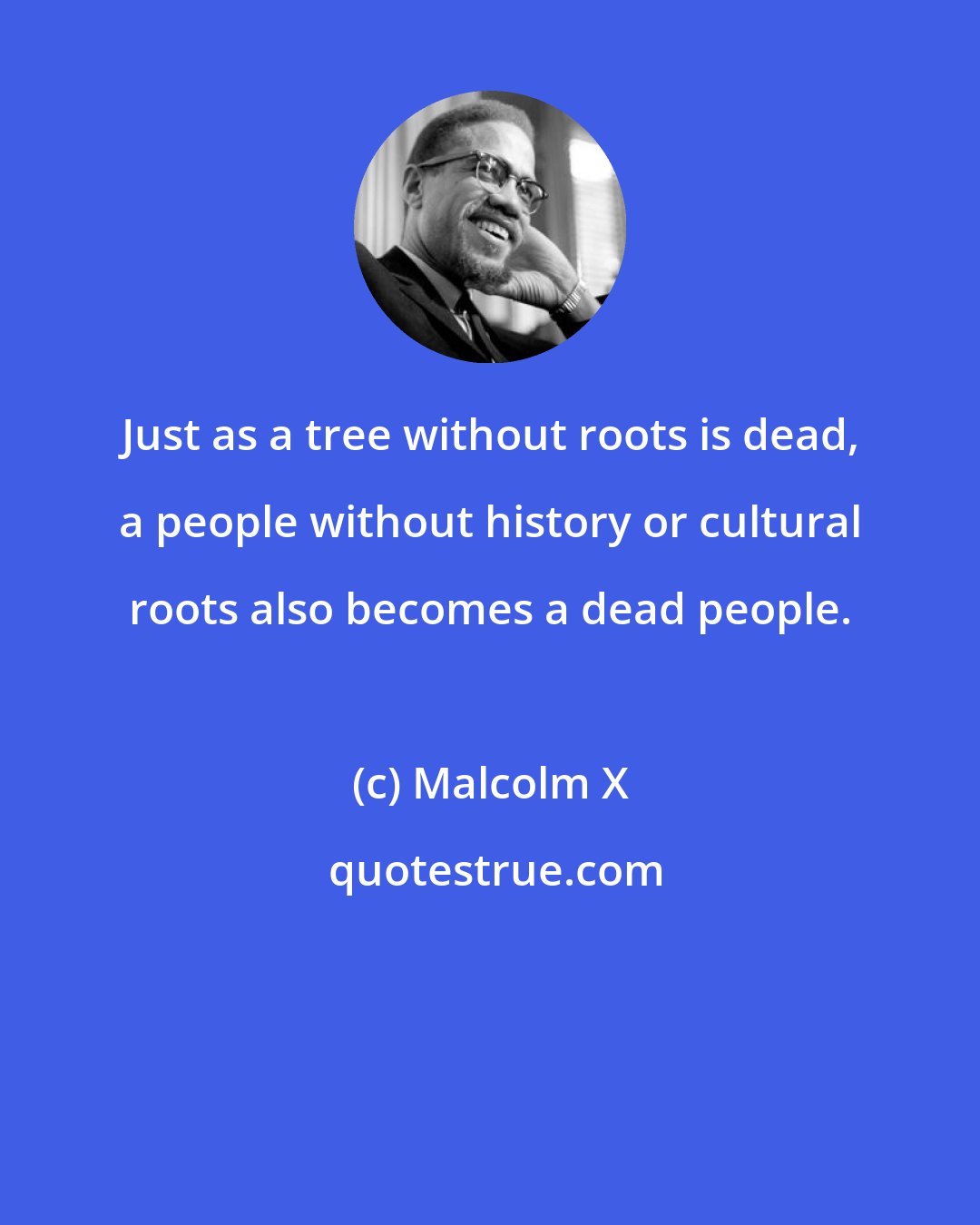 Malcolm X: Just as a tree without roots is dead, a people without history or cultural roots also becomes a dead people.