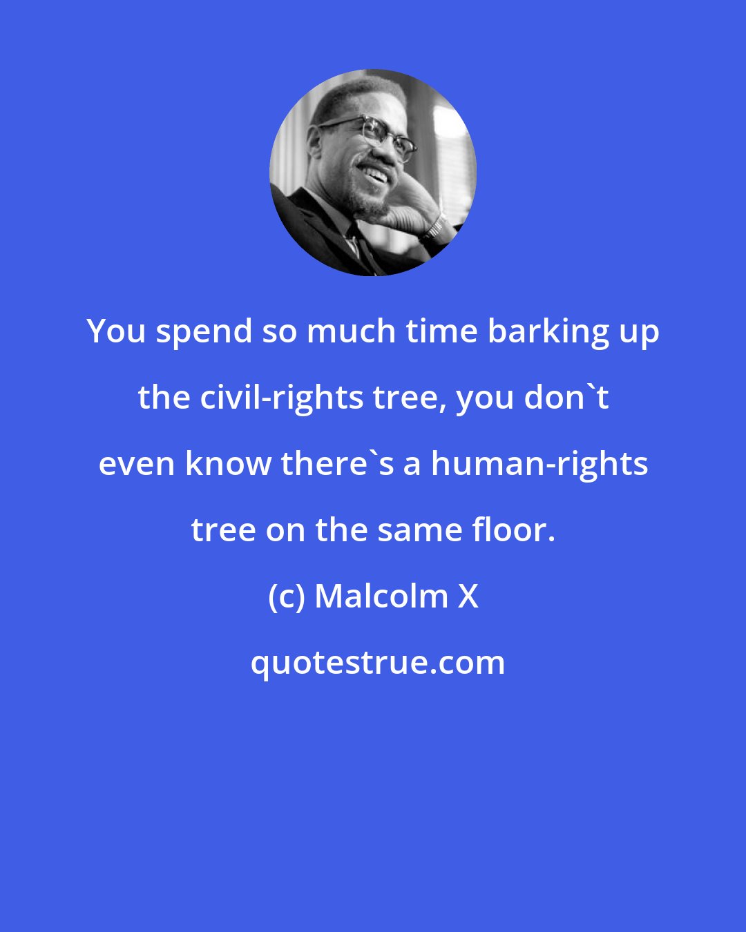 Malcolm X: You spend so much time barking up the civil-rights tree, you don't even know there's a human-rights tree on the same floor.