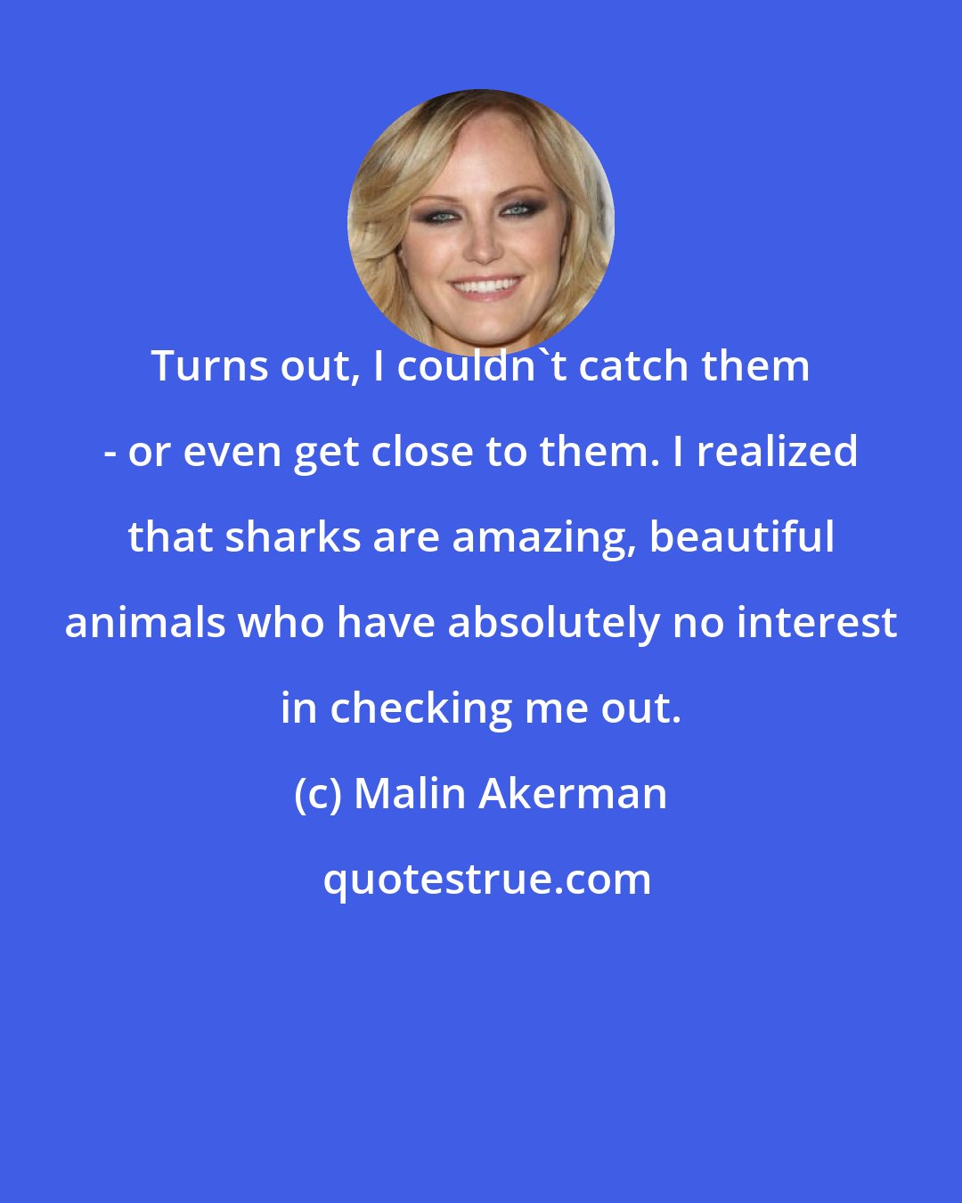 Malin Akerman: Turns out, I couldn't catch them - or even get close to them. I realized that sharks are amazing, beautiful animals who have absolutely no interest in checking me out.