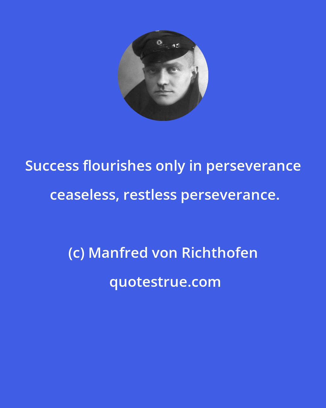 Manfred von Richthofen: Success flourishes only in perseverance  ceaseless, restless perseverance.