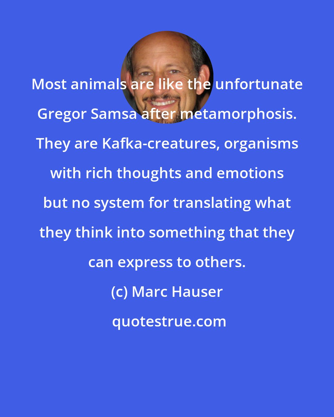 Marc Hauser: Most animals are like the unfortunate Gregor Samsa after metamorphosis. They are Kafka-creatures, organisms with rich thoughts and emotions but no system for translating what they think into something that they can express to others.