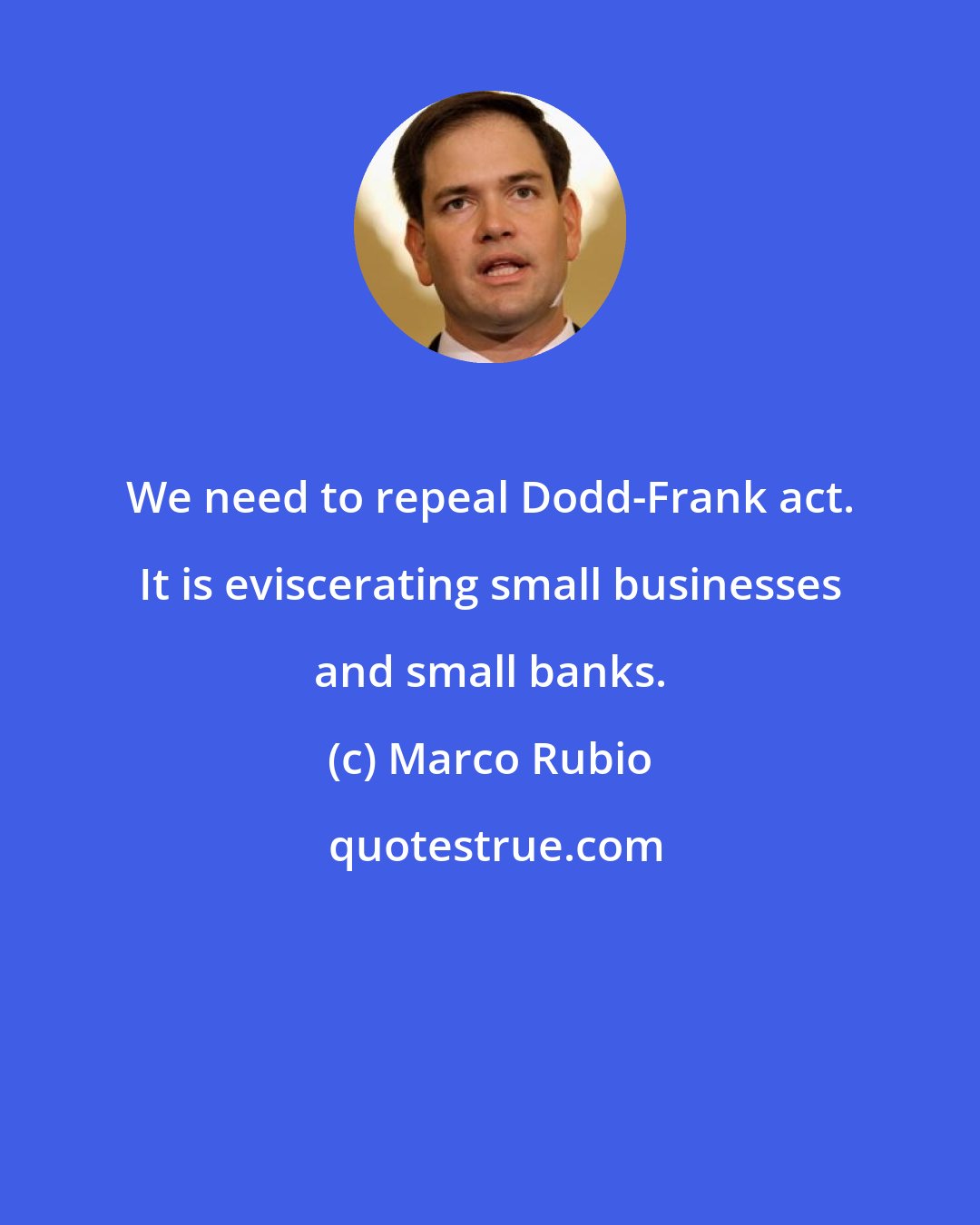 Marco Rubio: We need to repeal Dodd-Frank act. It is eviscerating small businesses and small banks.