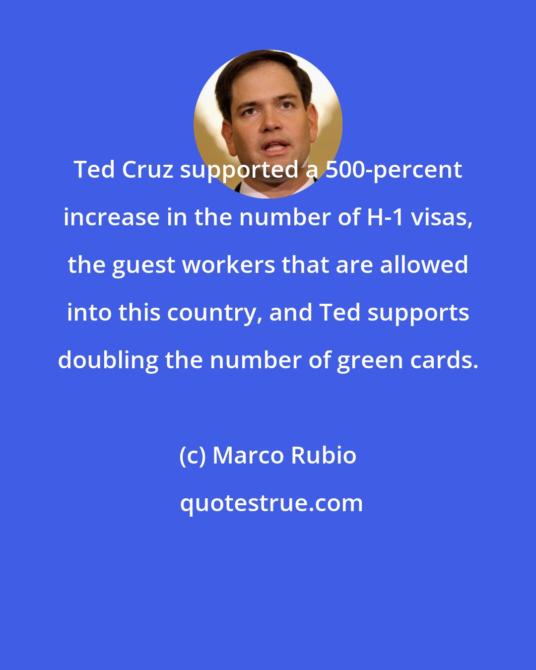 Marco Rubio: Ted Cruz supported a 500-percent increase in the number of H-1 visas, the guest workers that are allowed into this country, and Ted supports doubling the number of green cards.