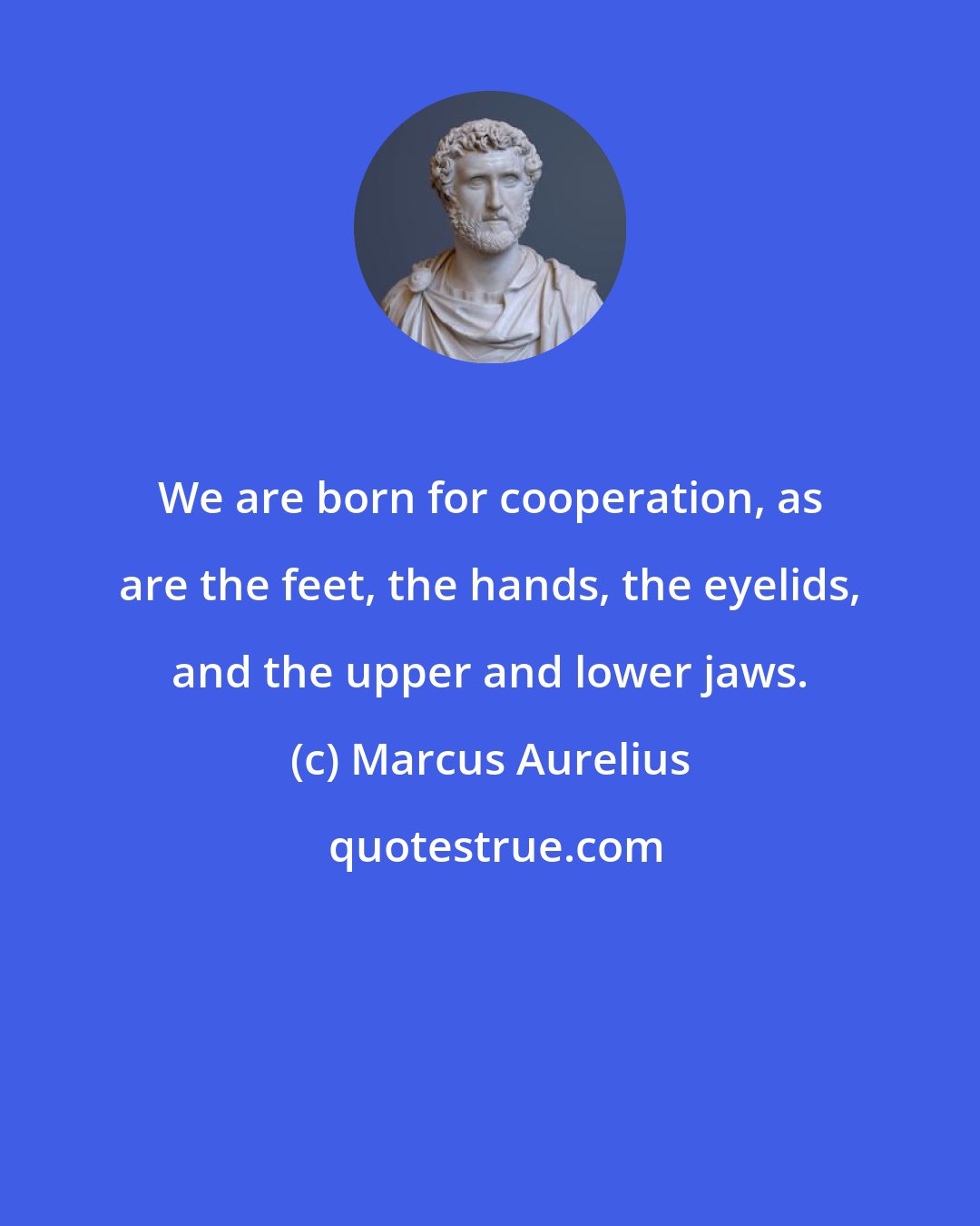 Marcus Aurelius: We are born for cooperation, as are the feet, the hands, the eyelids, and the upper and lower jaws.