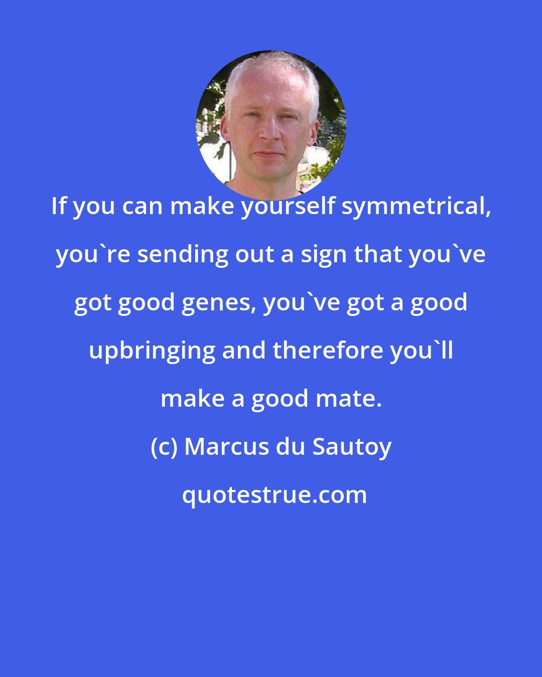Marcus du Sautoy: If you can make yourself symmetrical, you're sending out a sign that you've got good genes, you've got a good upbringing and therefore you'll make a good mate.