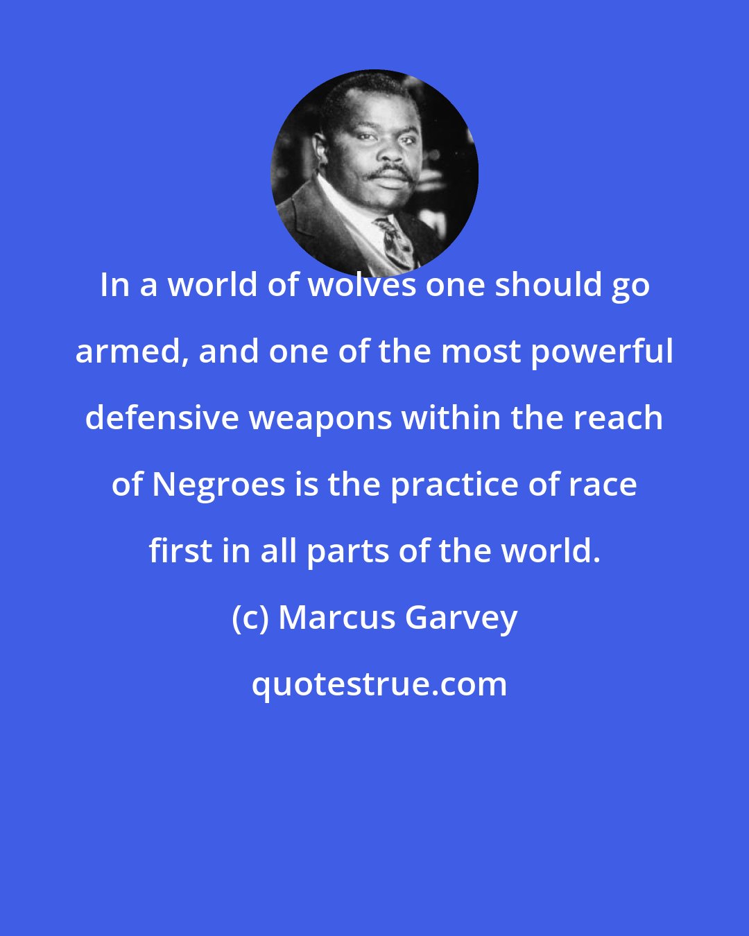 Marcus Garvey: In a world of wolves one should go armed, and one of the most powerful defensive weapons within the reach of Negroes is the practice of race first in all parts of the world.