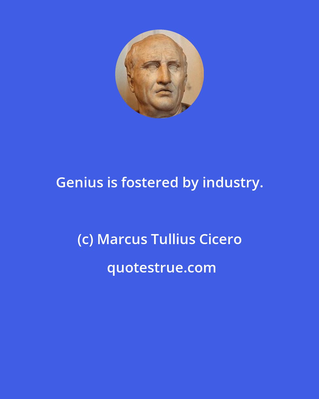 Marcus Tullius Cicero: Genius is fostered by industry.