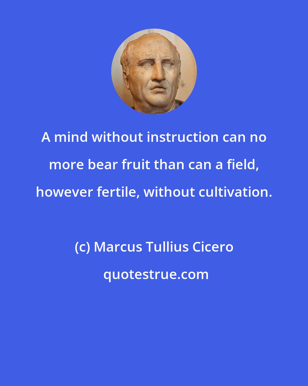 Marcus Tullius Cicero: A mind without instruction can no more bear fruit than can a field, however fertile, without cultivation.