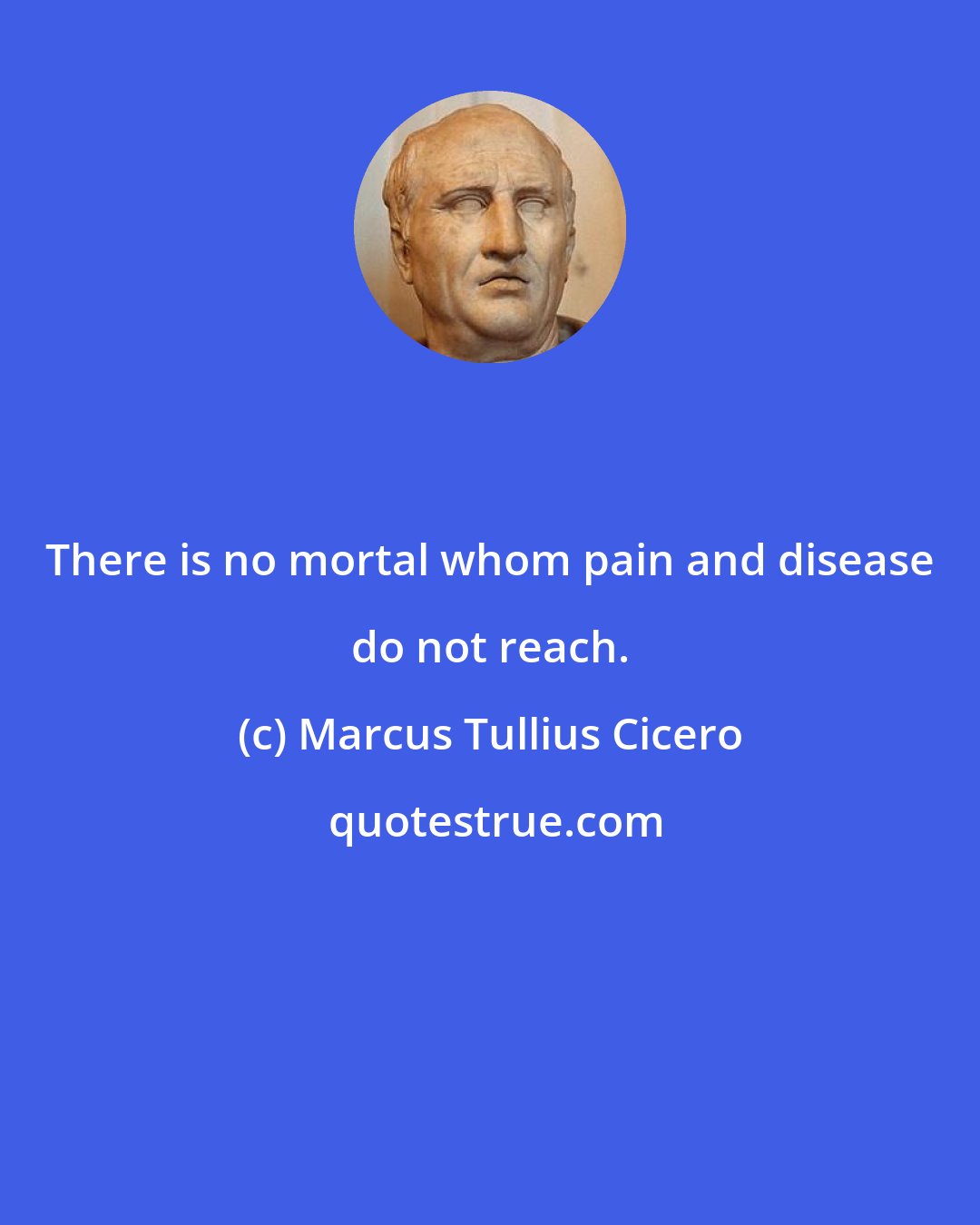 Marcus Tullius Cicero: There is no mortal whom pain and disease do not reach.