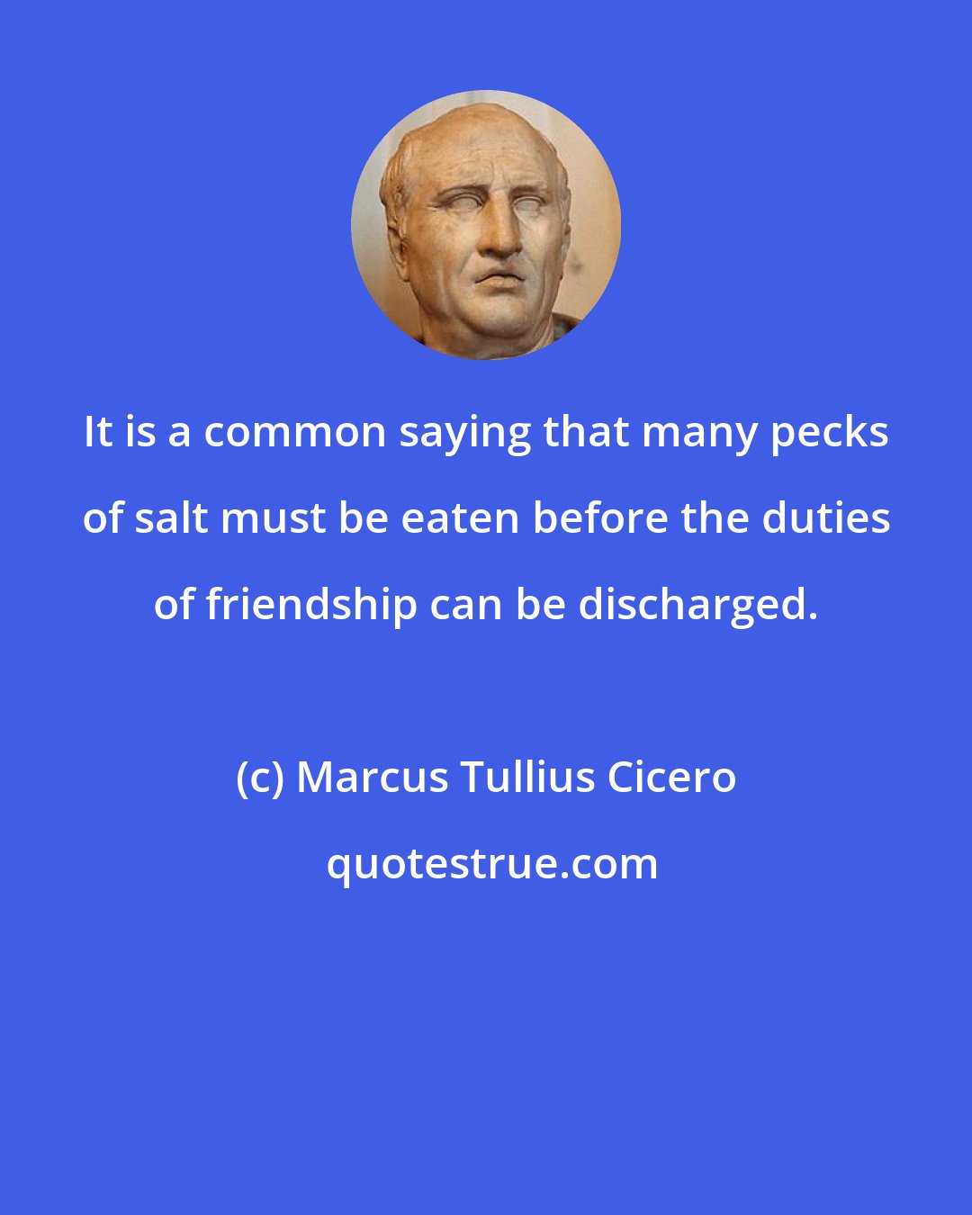 Marcus Tullius Cicero: It is a common saying that many pecks of salt must be eaten before the duties of friendship can be discharged.