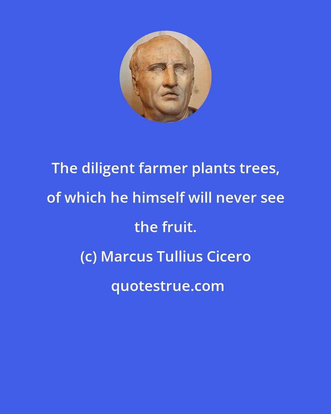 Marcus Tullius Cicero: The diligent farmer plants trees, of which he himself will never see the fruit.