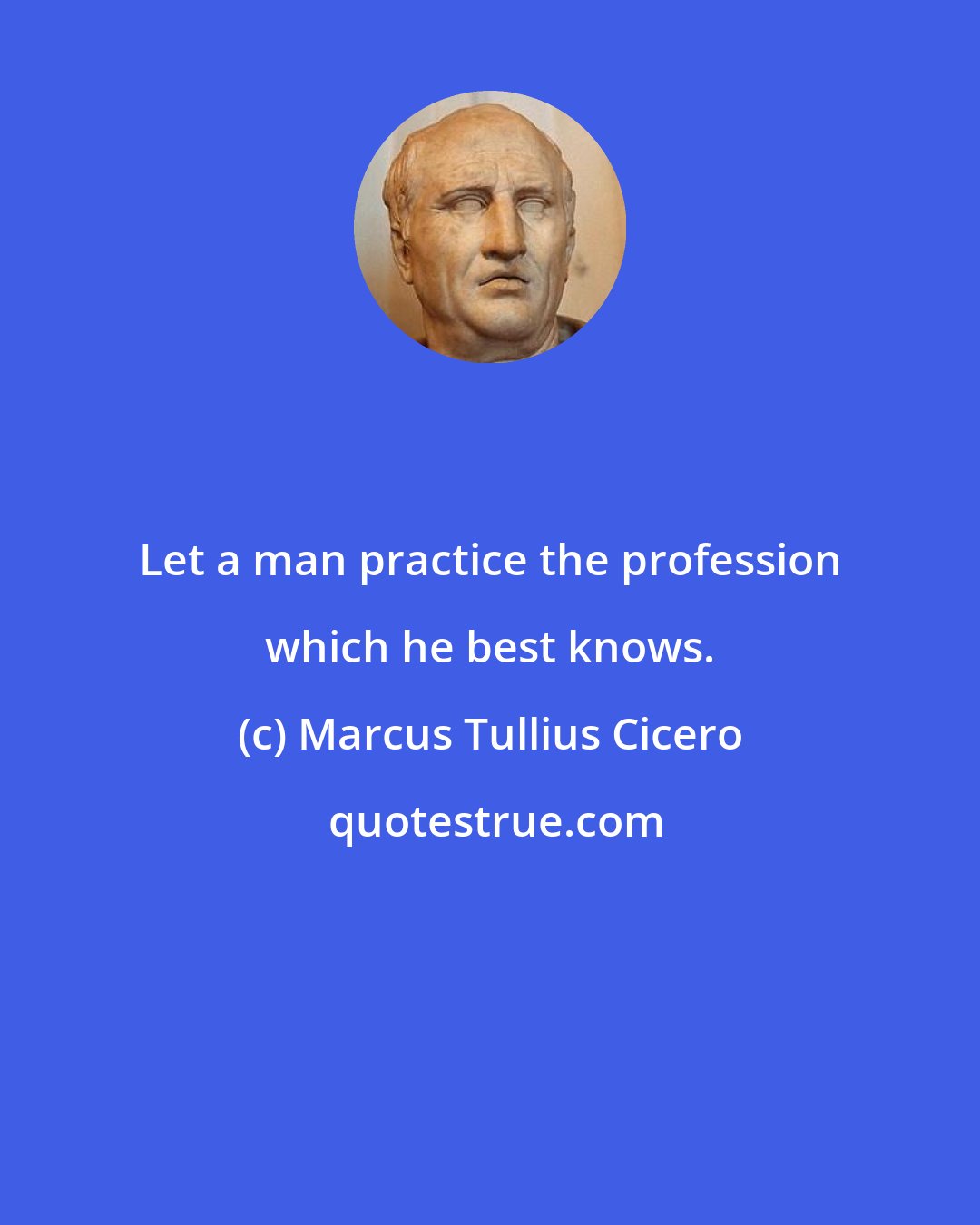 Marcus Tullius Cicero: Let a man practice the profession which he best knows.